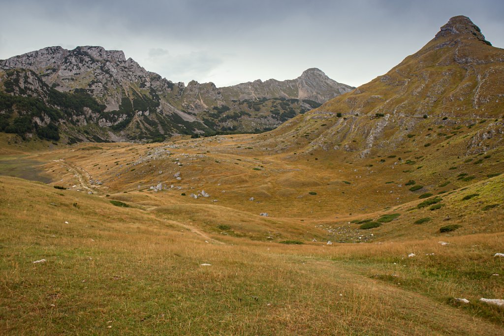 2R4A3156.jpg