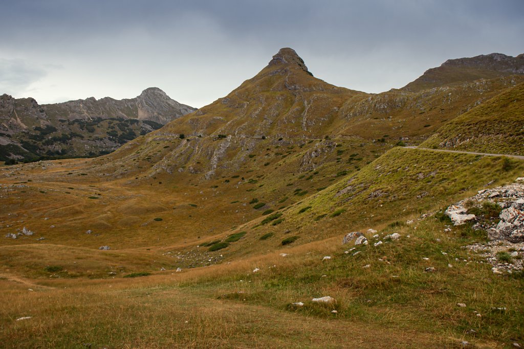 2R4A3157.jpg