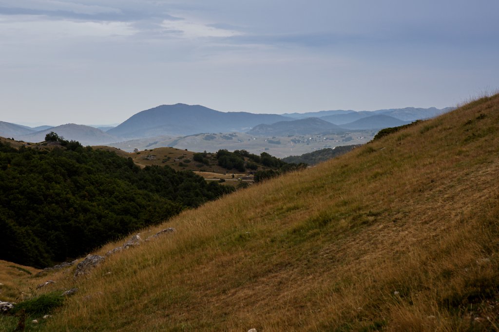 2R4A3163.jpg