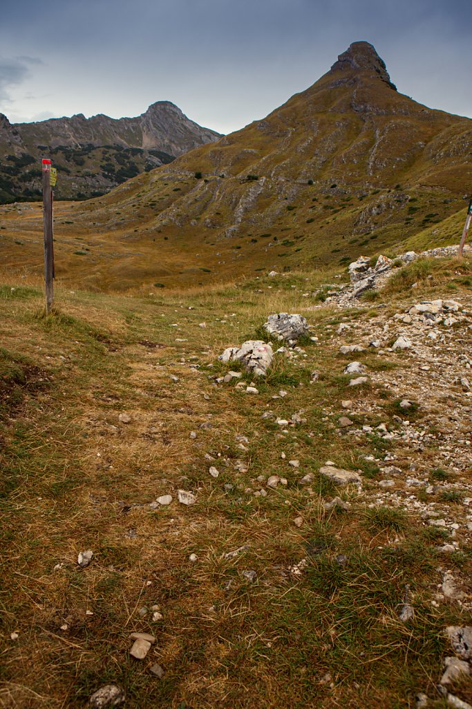 2R4A3179.jpg