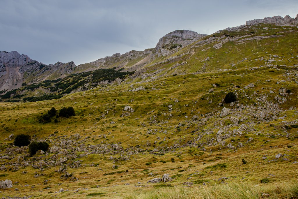 2R4A3237.jpg
